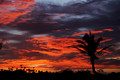 D300_125323