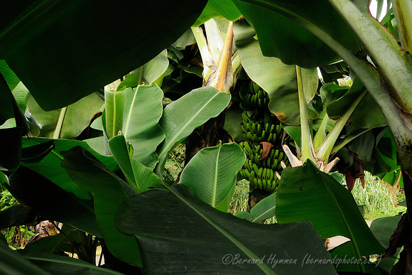 D300_125549