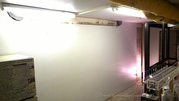 WP_20141202_21_42_17_Pro