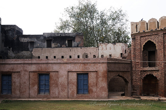 D300_68578