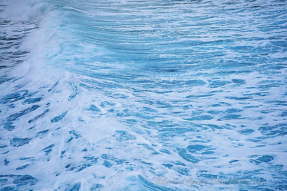 D300_125974