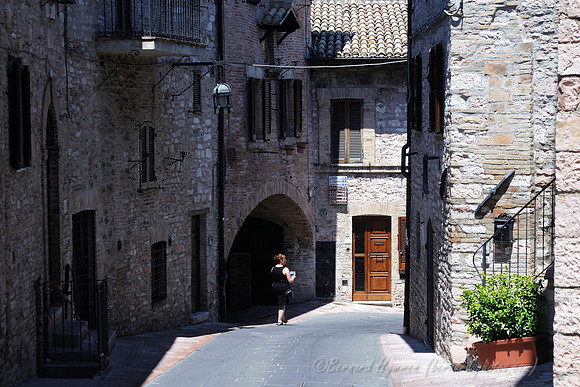 D300_135766