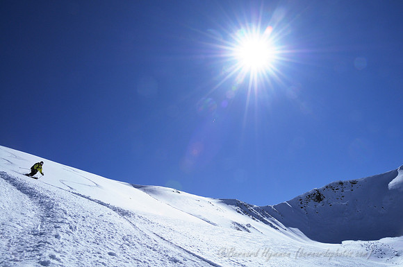 D300_69260