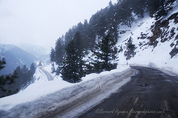 D300_69621