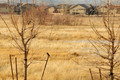 D300_59393