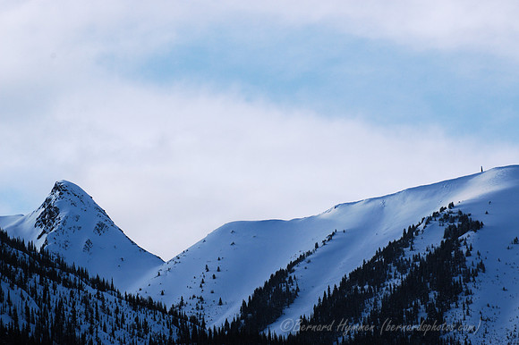 D70_20792