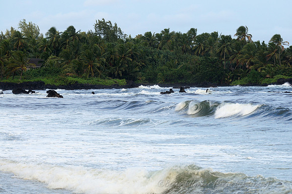 D300_125623