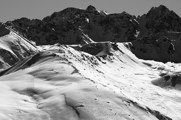 D300_69242
