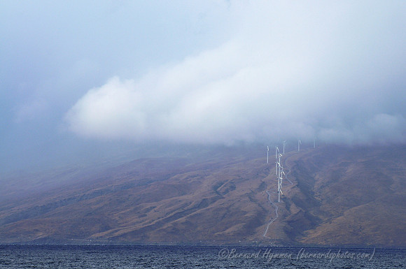 D300_124910