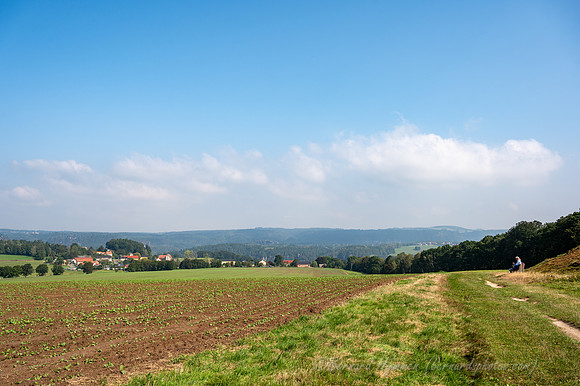 Z6_186612