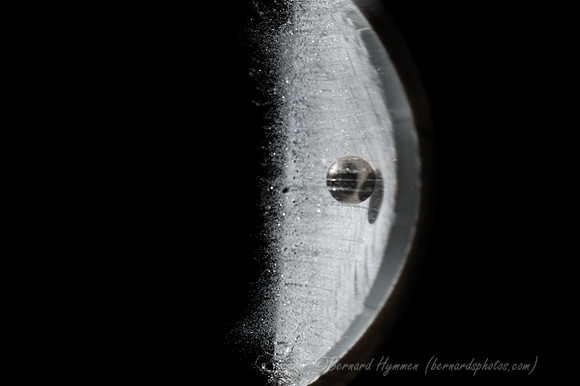 D70_22364