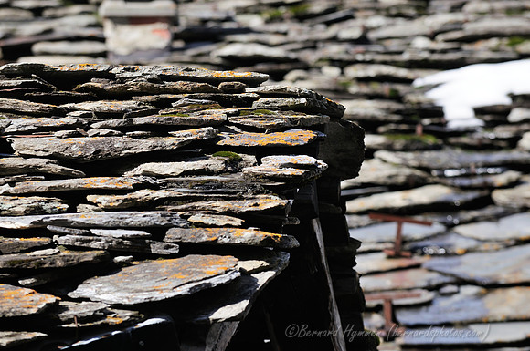 D300_84905