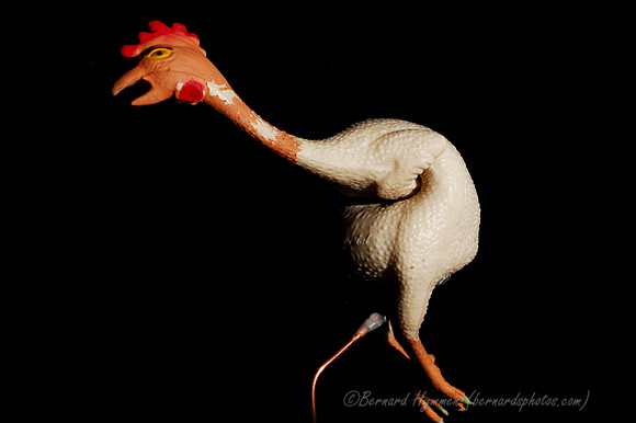D70_22423