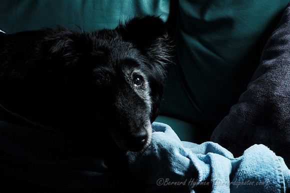 D70_21851.jpg