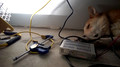 WP_20141210_23_03_55_Pro