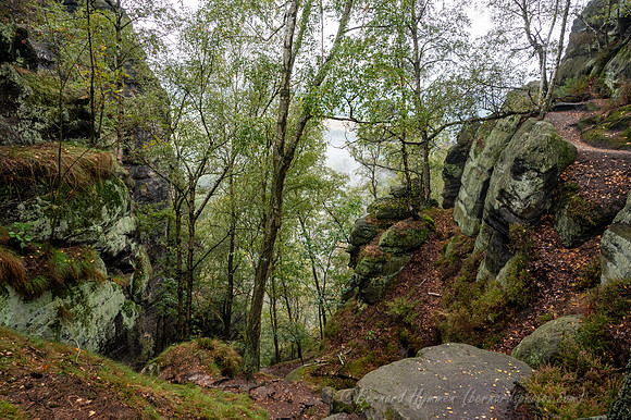 Z6_186394
