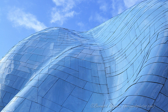 D300_62470