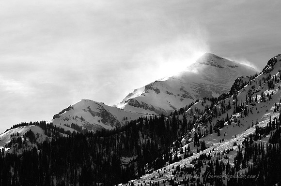 D300_60181