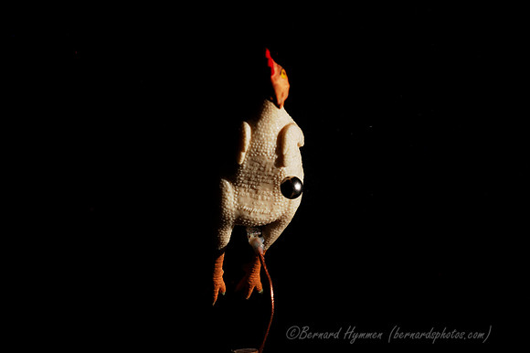 D70_22431