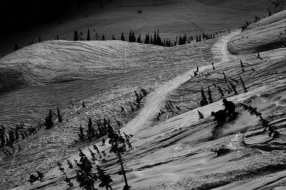 D70_20927.jpg