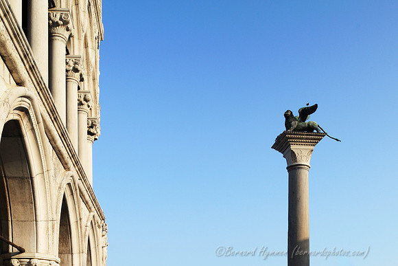D300_45289.jpg
