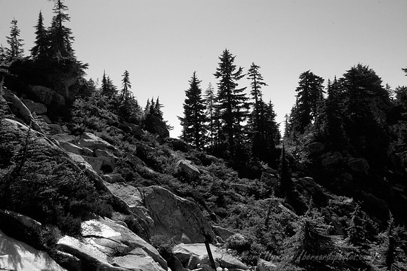 D70_23219