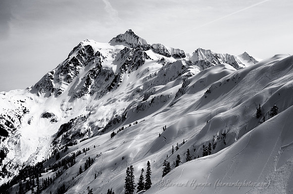 D300_54759
