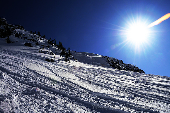 D300_140284