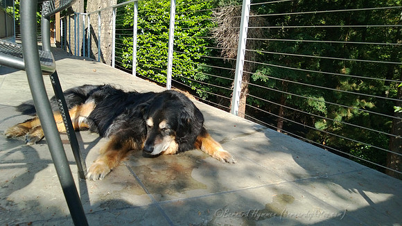 WP_20130809_005