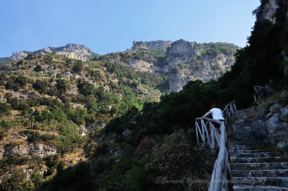 D300_134879