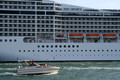 D300_44954.jpg