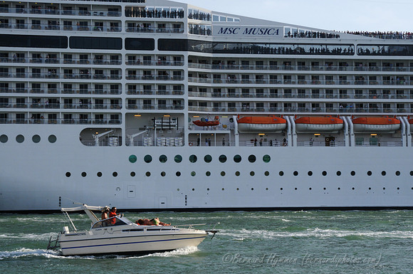 D300_44954.jpg