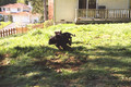 9QUV_019.JPG