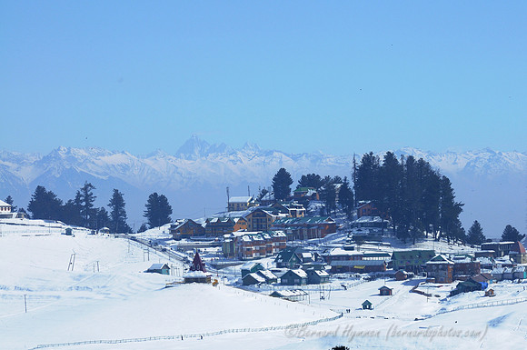 D300_69806