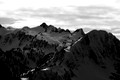 D70_14108
