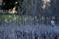 Juanita Bay Park