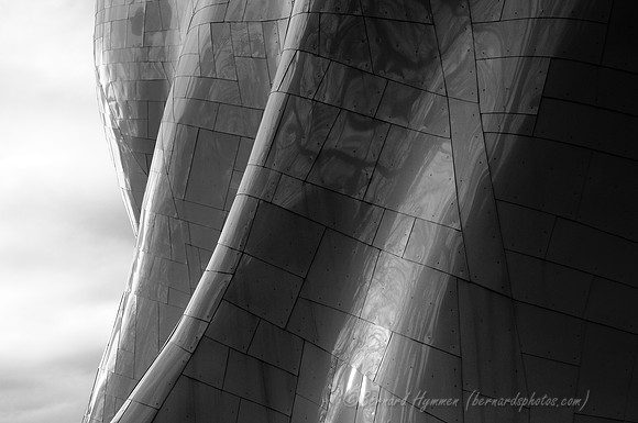 D300_62467