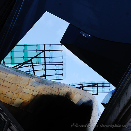 D300_62516