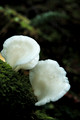 D70_076382004-10-09_01