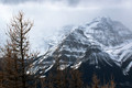 D70_21170