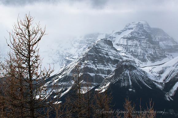 D70_21170
