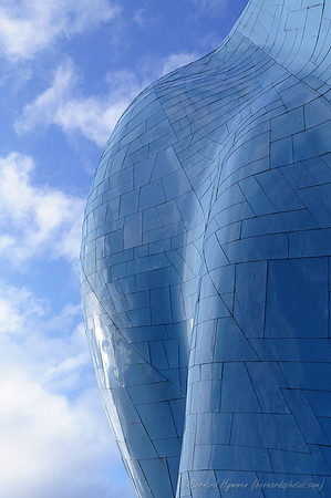 D300_62468