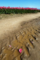 D70_15820