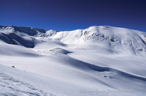 D300_69272