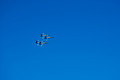 D70_11451
