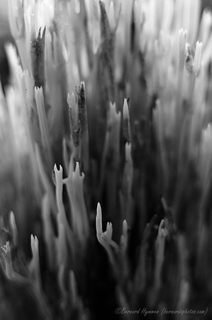 D300_57148