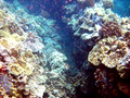 SD800_58667