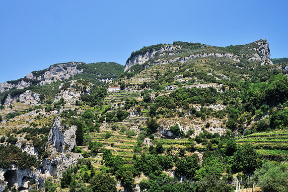 D300_134676