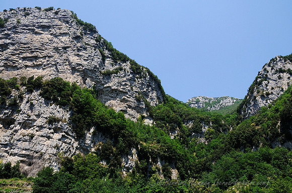 D300_134634