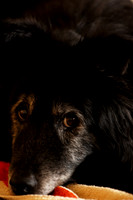 D70_21646.jpg
